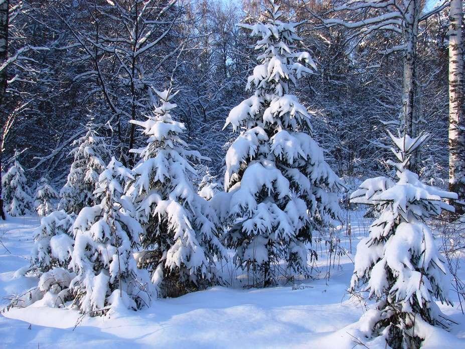 Зима, солнечная погода, пушистый снег…» — создано в Шедевруме