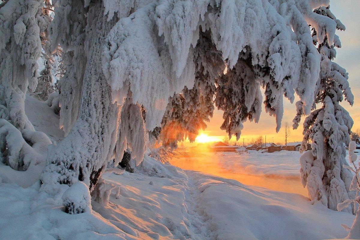 Погода в Україні: кліматолог розповіла, якою буде зима