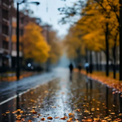 Красиво поздняя осень, дождь: доброе…» — создано в Шедевруме