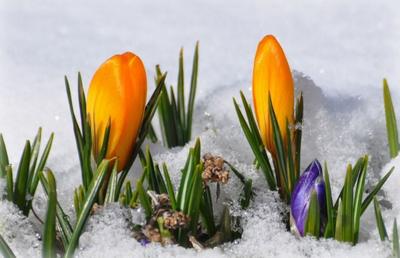 Приближение весны: синоптики рассказали о погоде в Украине на завтра - |  Диалог.UA