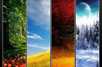 Бесплатное изображение: травянистые растения, трава, трава, завод, поле,  лето, луг, весна, рассвет, природа