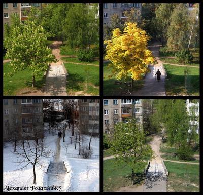 Весна, Лето, Осень, Зима - Фото галлерея