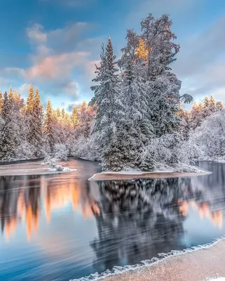 Зимние эмоции в фотографиях: Картинки природы зимой | Зимний красивые природы  зимой Фото №795436 скачать