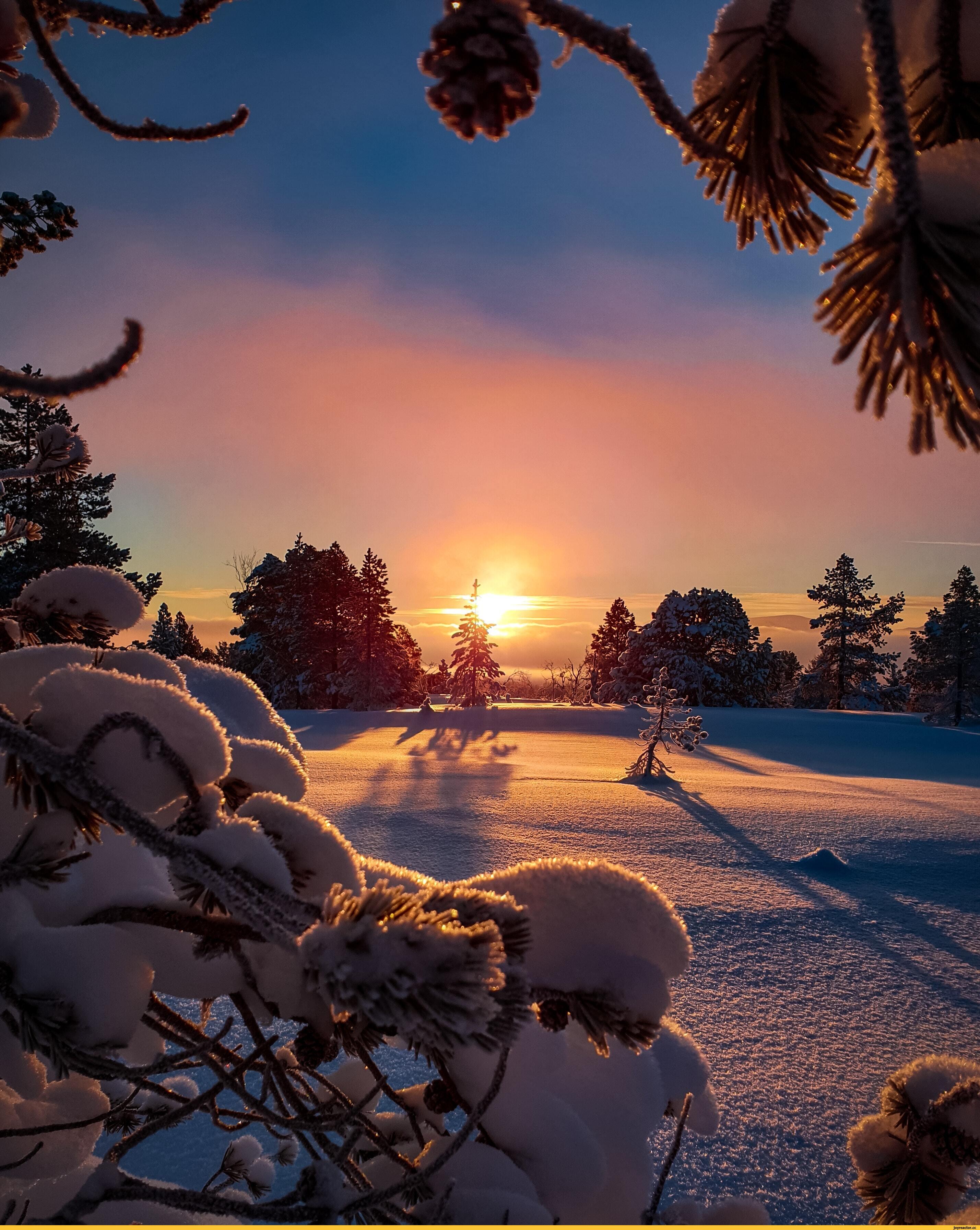 зима, закат солнца, теплая зима, природа фон картинки и Фото для бесплатной  загрузки