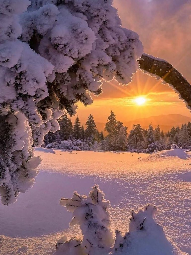 Природа. Зима. Закат. Деревня. Метель…» — создано в Шедевруме