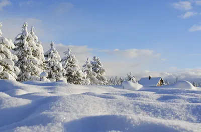 Зима#горы #деревья #снег | Фоновые рисунки, Пейзажи, Зимние картинки