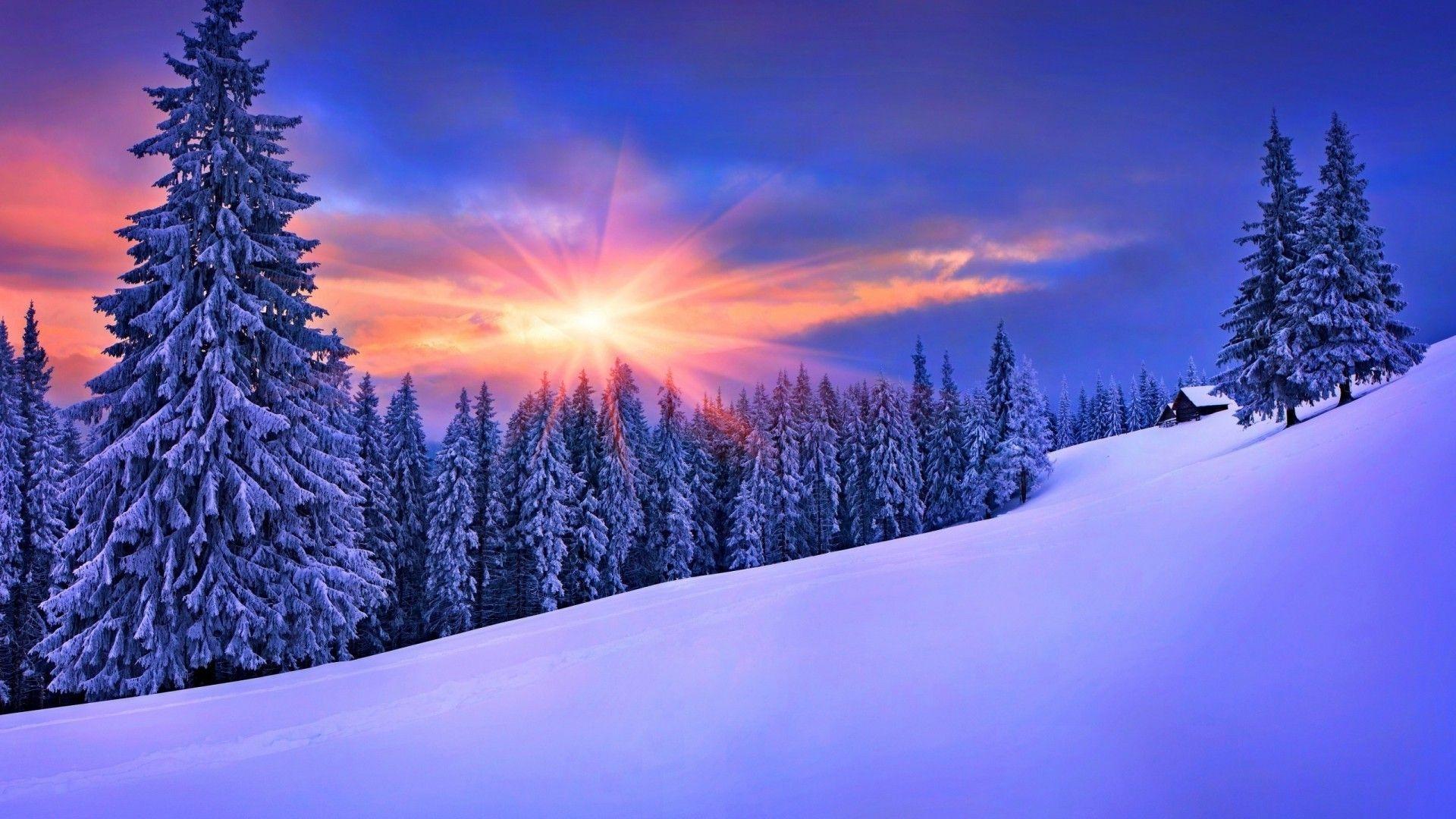 Зима Пейзаж Природа Панорама, Праздник Фон Фотография, картинки,  изображения и сток-фотография без роялти. Image 33986035