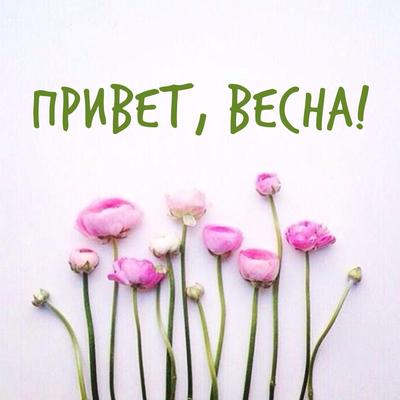 Привет, Весна! (Наташа Мишина) / Стихи.ру