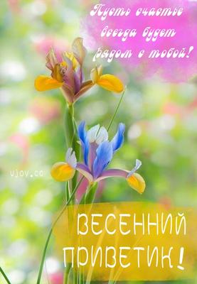 Книга раскраска \"Привет, Весна!\" КН-0003 - купить в Москве по цене 350 руб  в интернет-магазине Красный карандаш
