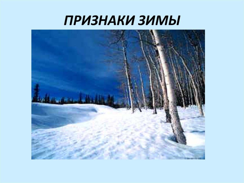 День первых признаков зимы» 2023, Дрожжановский район — дата и место  проведения, программа мероприятия.