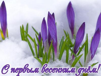 Первый день весны: картинки чудесного настроения и поздравления 1 марта