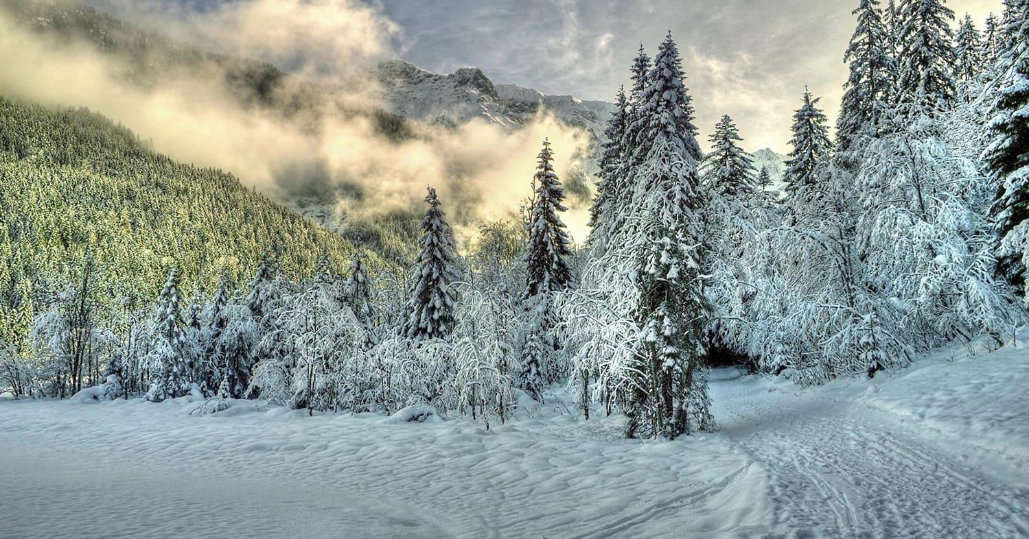 Картина Зимний пейзаж. Вдоль незамерзающего ручья (N2) 60x90 ZM041408  купить в Москве