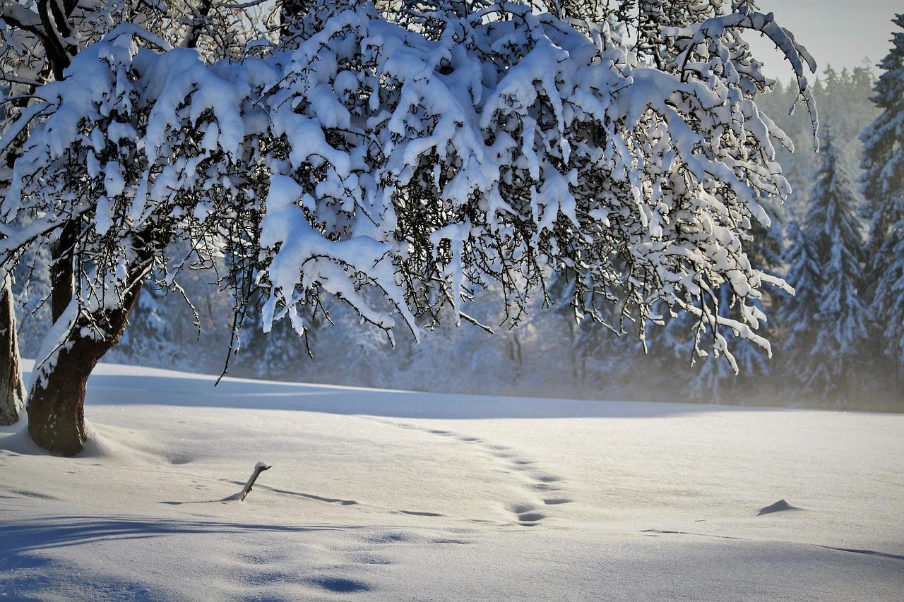 Картинки про природу зима фотографии