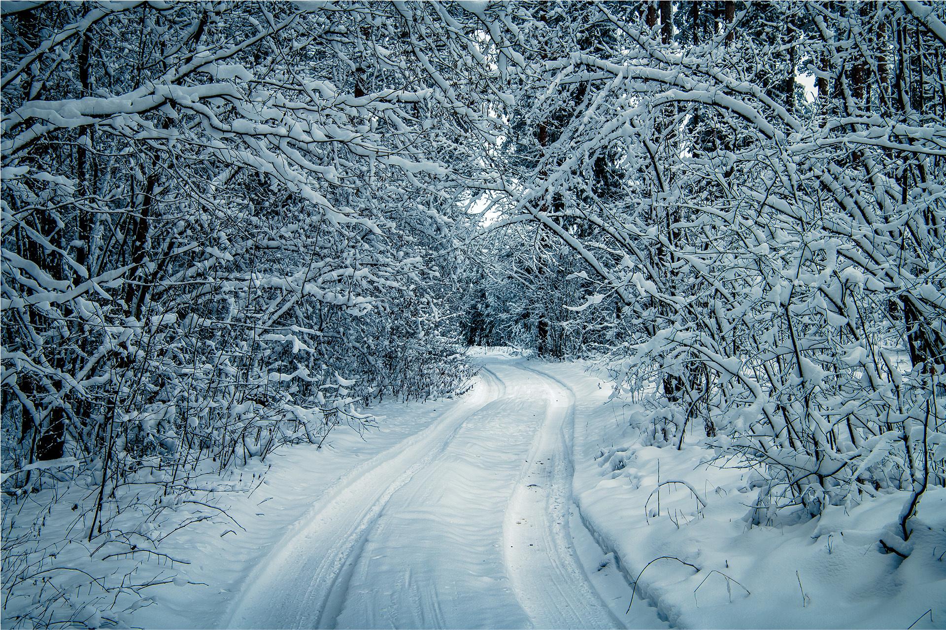 Зима — Википедия