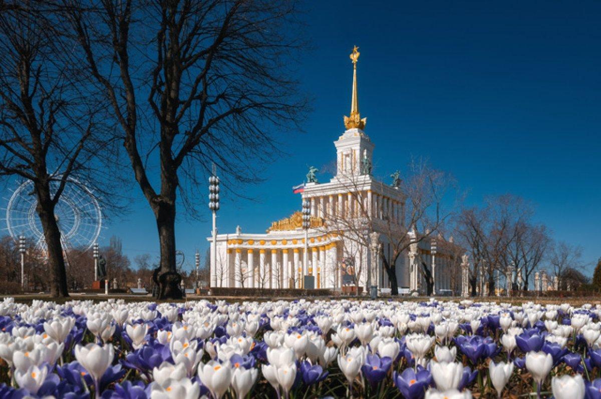 Прогноз погоды на 11 апреля: в Украину ворвалась настоящая весна |  Комментарии Украина
