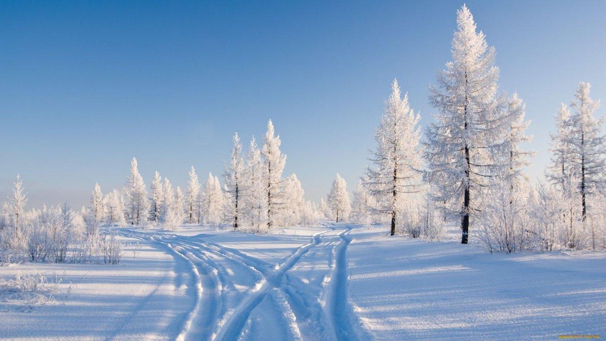 Картинки красивые зима снег с надписями (57 фото) » Картинки и статусы про  окружающий мир вокруг