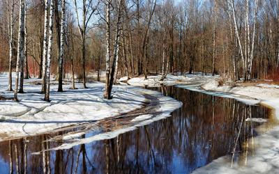Картинка Ранняя весна на лесной речке » Весна » Природа » Картинки 24 -  скачать картинки бесплатно
