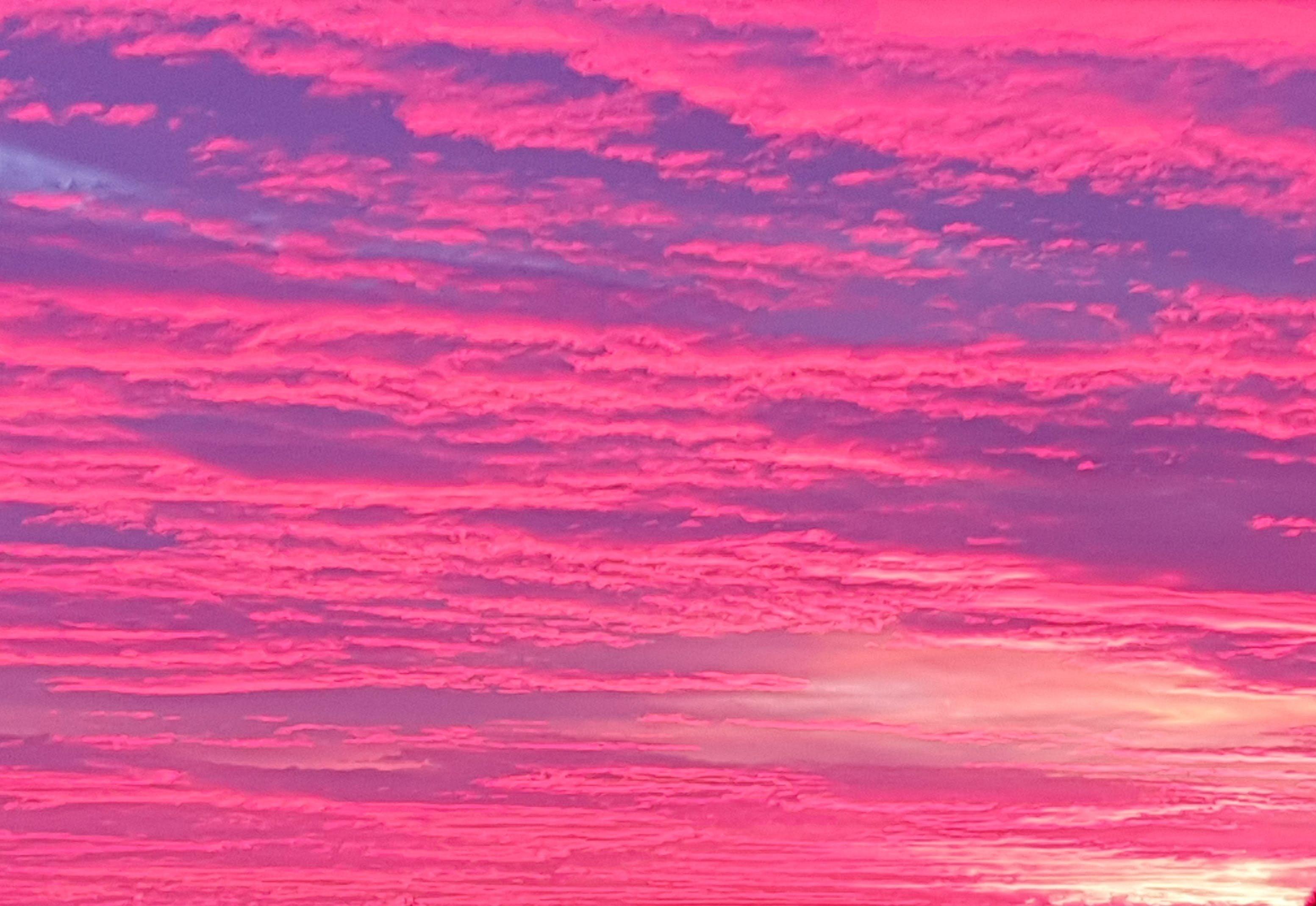 силуэт дерева на фоне розового неба на закате, высокое разрешение, дерево,  море фон картинки и Фото для бесплатной загрузки