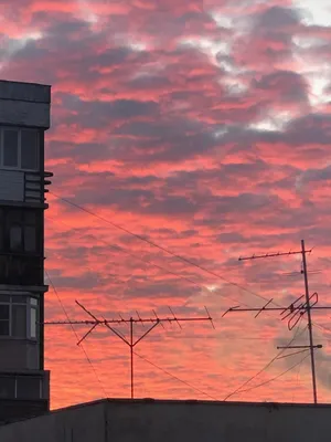 Розовое закатное небо (50 фото) - 50 фото