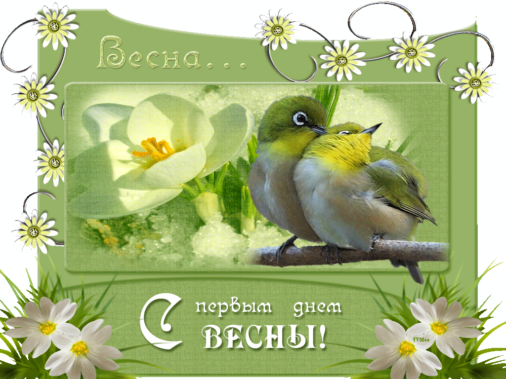 С первым днем весны - прикольные картинки, открытки с 1 марта, поздравления  с началом весны