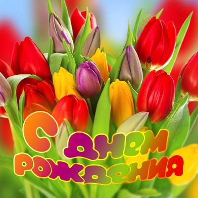 Открытка: Весенние тюльпаны | С днем рождения, Открытки, День рождения