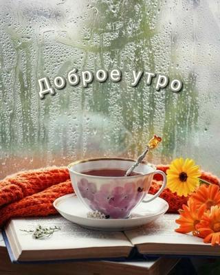 дождь доброе утро: 2 тыс изображений найдено в Яндекс Картинках