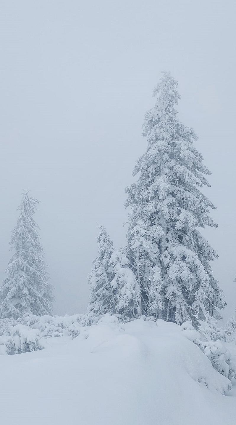 Серая зима (55 фото) - 55 фото