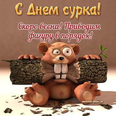 https://srgazeta.ru/news/novosti-sterlitamaka/2024-02-24/skoro-vesna-3656307