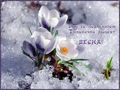 С первым днем весны - прикольные картинки, открытки с 1 марта, поздравления  с началом весны