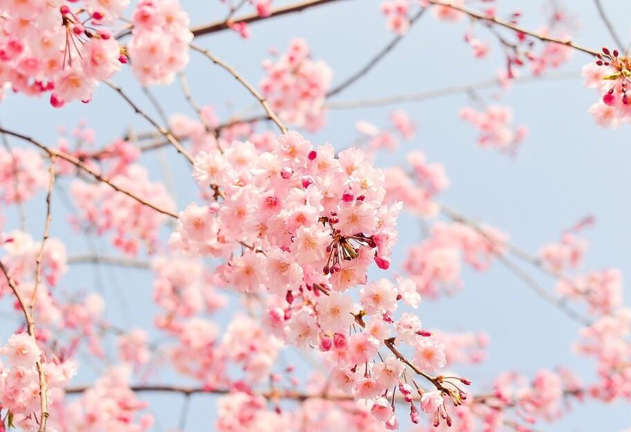 Полигон поздравляет вас с первым днем Весны! | Новости ГК Полигон
