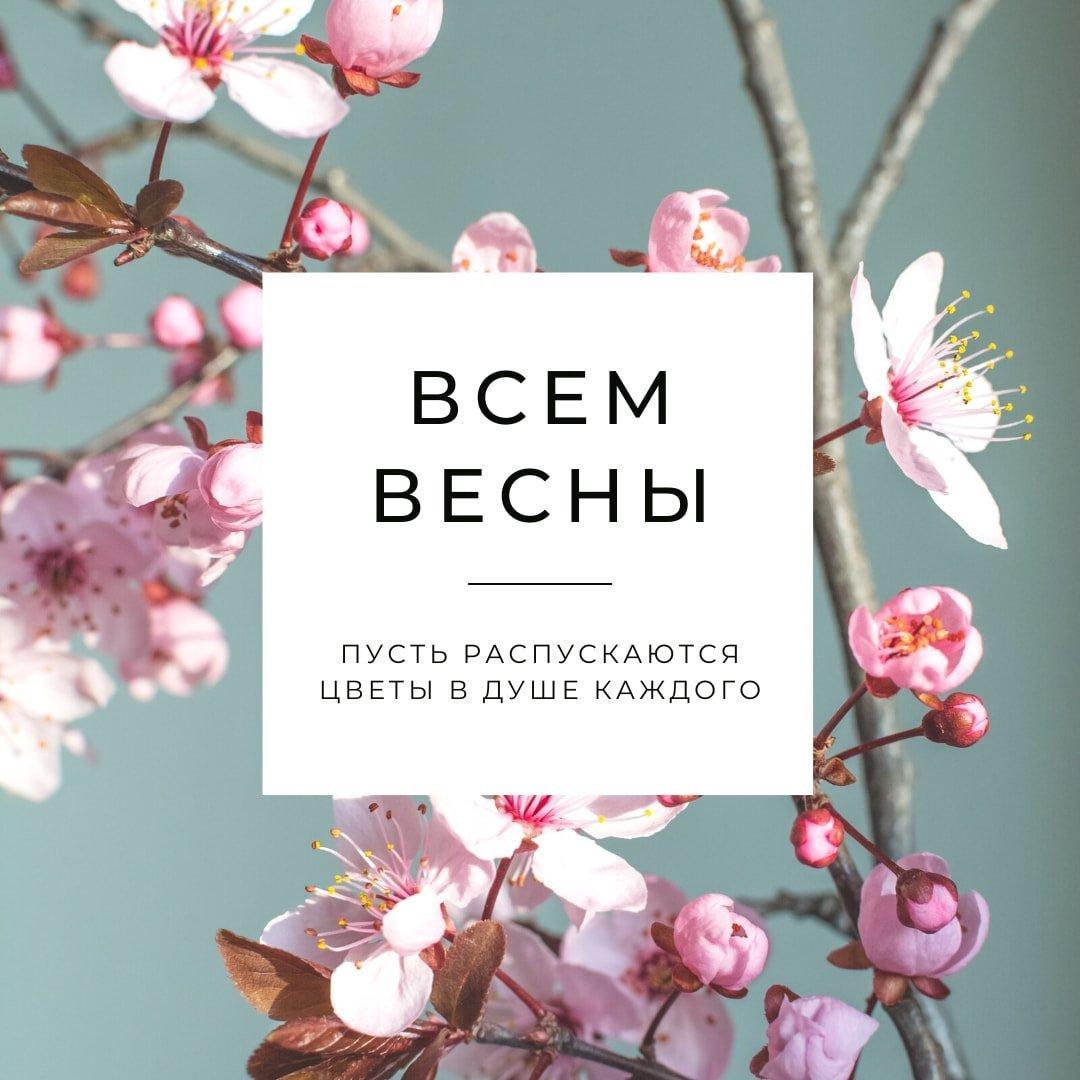 Красивые картинки С первым днем весны! (50 открыток) • Прикольные картинки  и позитив | Весна, Красные тюльпаны, Луговые цветы