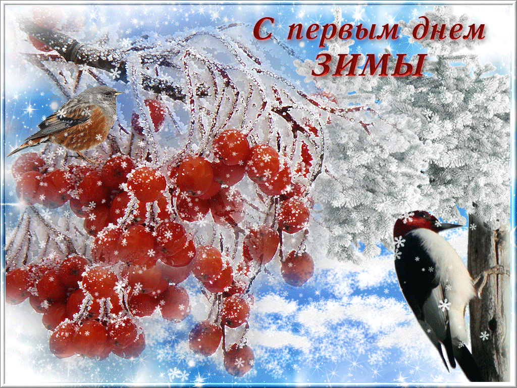 С первым днем зимы❄️ С 1 декабря #с1днемзимы #с1декабря #сначаломзимы  #пришлазима якрасивое поздравление с первым днем зимы, открытка… | Instagram