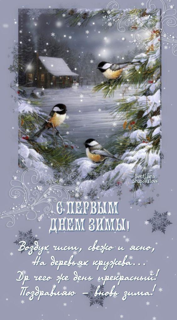 Прикольные открытки on Instagram: \"С первым днем зимы! Зима пришла!  Отличного настроения!!!#зимапришла #1декабря #зима #спервымднемзимы🎅⛄  #с1декабря #зима2023 красивое поздравление с первым днем зимы, открытка  первый день зимы, открытка с первым днем ...