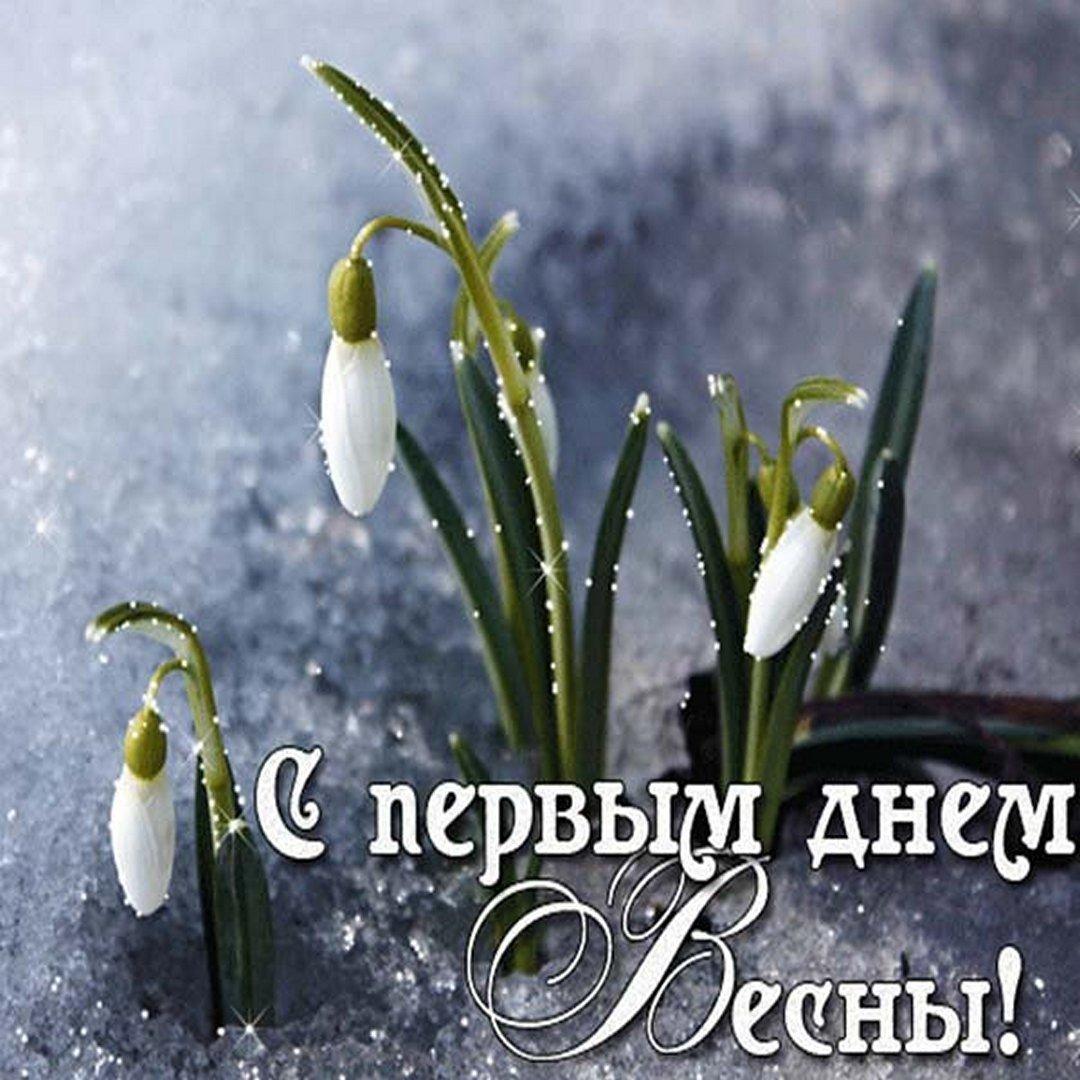 ВЕСНА идет 🌸 Международный праздник прихода весны 🌸 С первым днем весны  Поздравляю | с Мариной Гусаковой | Дзен