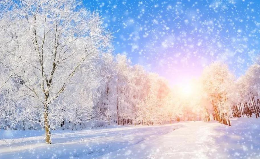 Статусы, цитаты и слова про зиму: прикольные, красивые, про любовь и снег