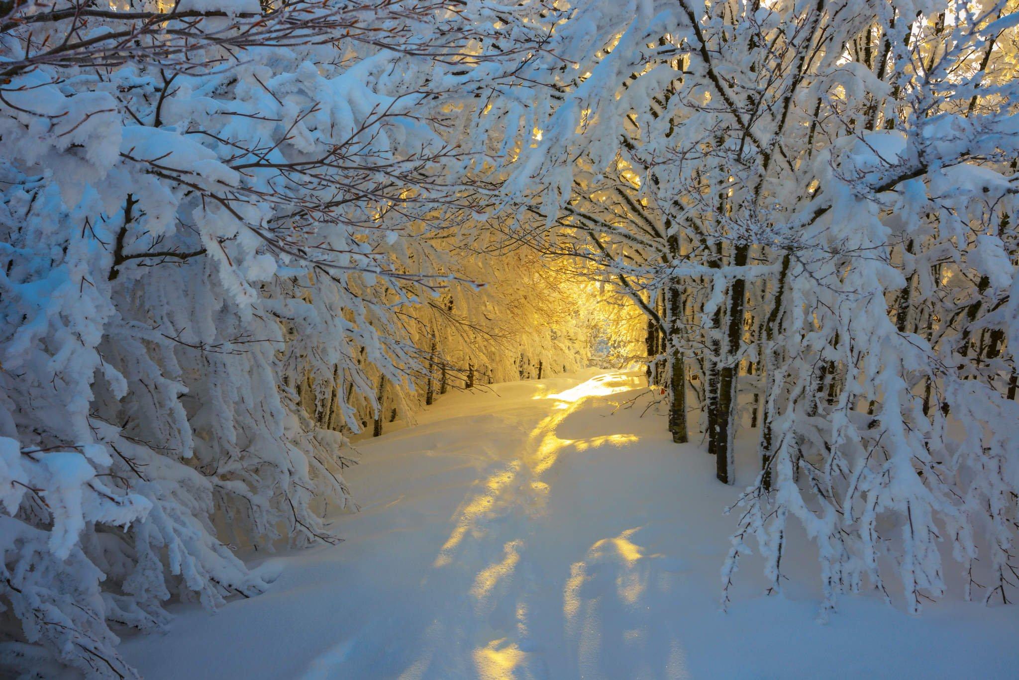 Где в России красиво зимой: топ-15 | Smapse