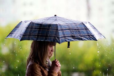 Девушка смеется под дождем. Сильный дождь, девушка держит зонтик. Девушка в  легком платье, весело смеется. Падают осенние листья. Осень, осенний дождь  Stock Photo | Adobe Stock