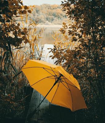 Зонтиком В Дождь — стоковые фотографии и другие картинки Дождь - Дождь,  Зелёный цвет, Зонт - iStock