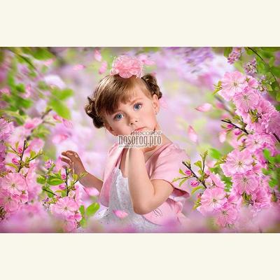 Сакура вишневый цвет прекрасные цветущие деревья в весеннем парке розовые  цветы цветочный фон баннерная открытка фотография природы | Премиум Фото