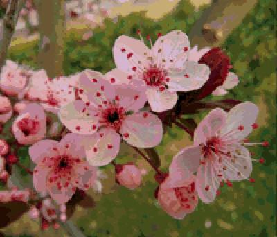 Весна цветение - 83 фото