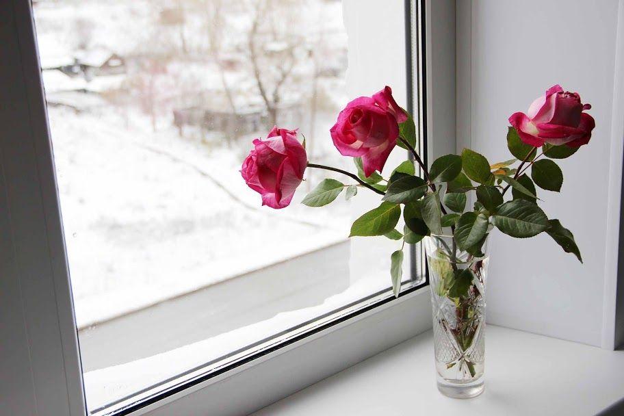 Как донести цветы зимой?