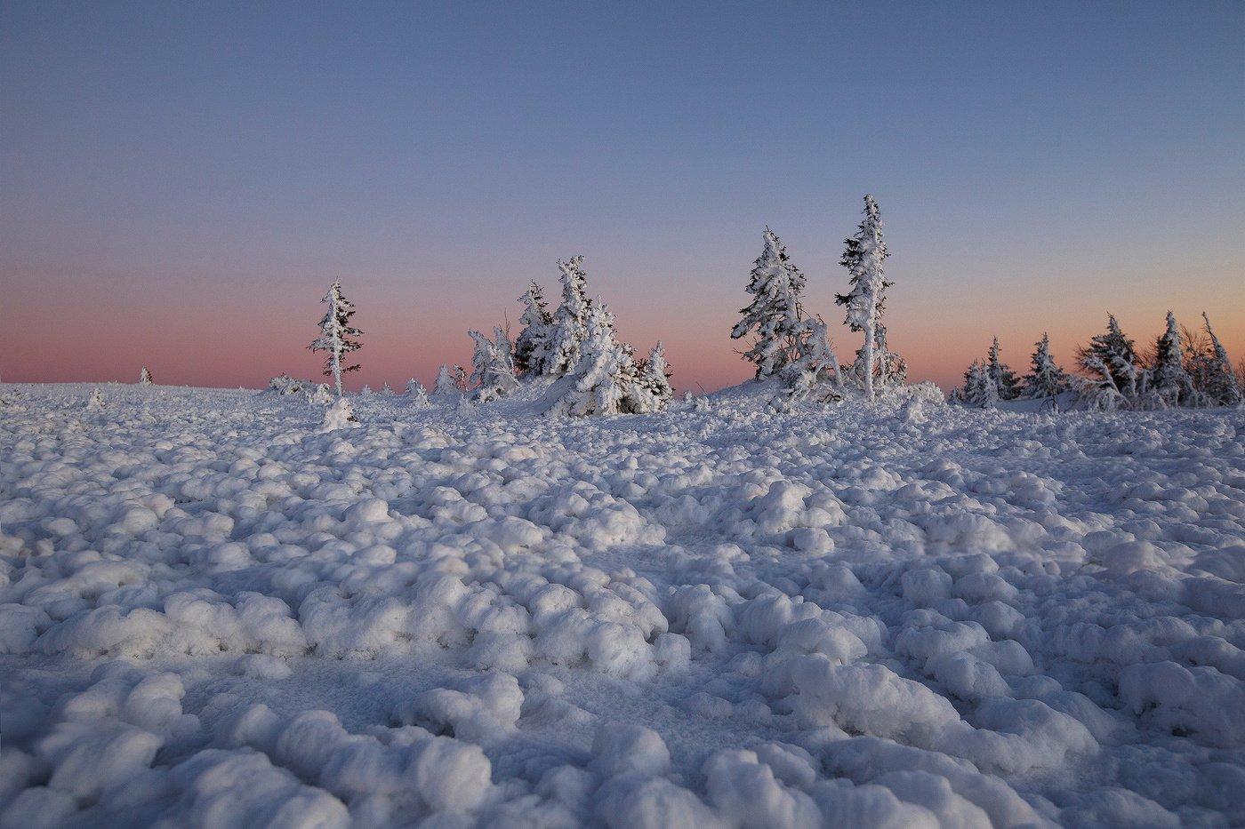 Тундра снег (52 фото) - 52 фото