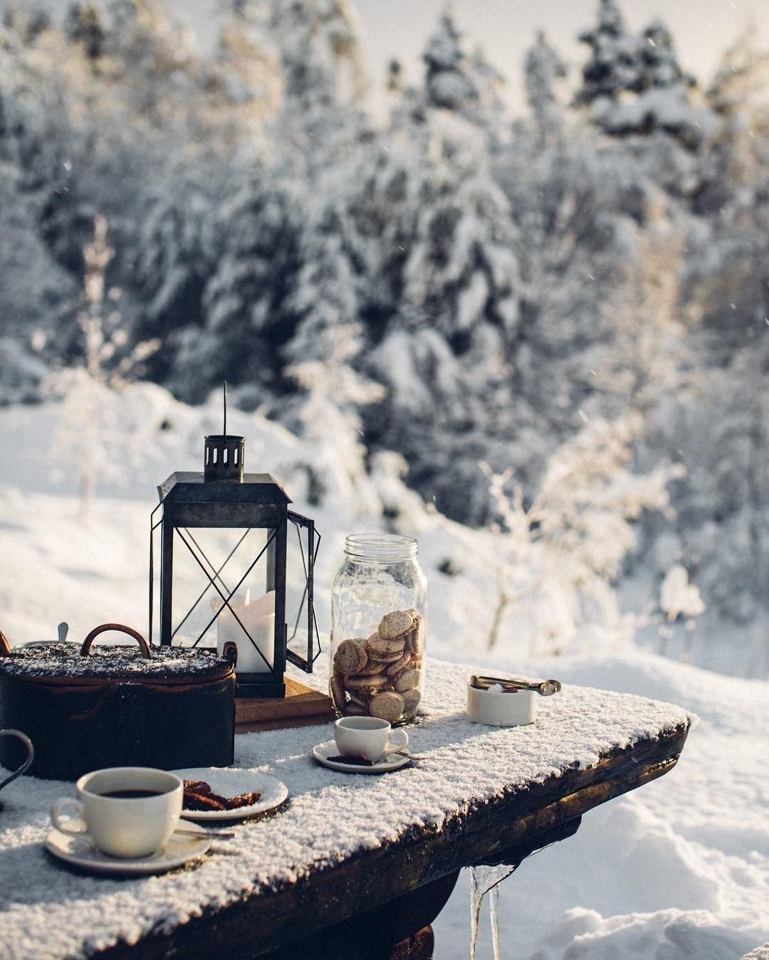 Утренняя зимняя сказка: кофе среди снежных вьюг, новогоднее творчество и  оживающие традиции | Девушка фермер | Дзен
