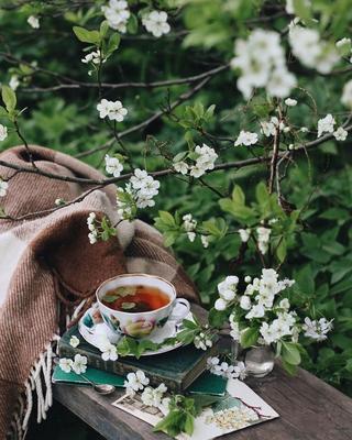 Your Coffee Look - Доброе утро! 😊☕💙🍪🌿💐☀️✨#кофе #завтрак  #YourCoffeeLook/ #breakfast #утро #сароматомкофе #счастье #spring #весна  фото - Jelena Mirkovic @jelenarchitect | Facebook