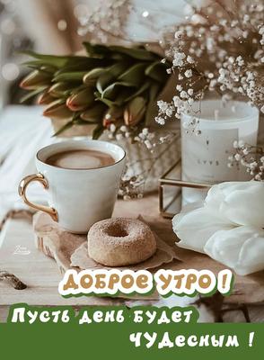 Lyubov Ivanova - Утро... Кофе... Весна... и Выходной...☕ 🌷 Прекрасное  начало чего-то хорошего!...💖 | Facebook