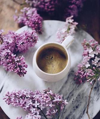 Когда чувствуется весна, то настроение такое солнечное🌷 Желаю всем  чудесного дня☺️ Flatlay раскладки для инстаграм, … | Tea and books, Coffee  time, Coffee vs tea