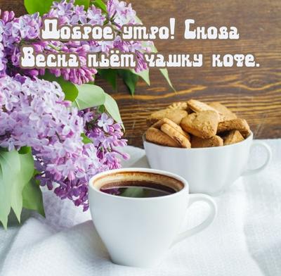 Утро кофе Весна - фото и картинки: 58 штук