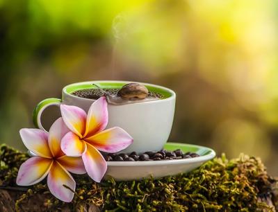 Картинка: Доброе утро! Снова Весна пьёт чашку кофе.
