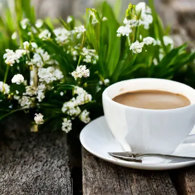 Картинки утро кофе весна фотографии