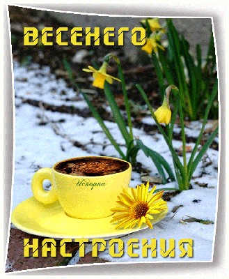Скачать картинки Утро кофе весна, стоковые фото Утро кофе весна в хорошем  качестве | Depositphotos